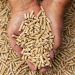 Wood pellets in hands.